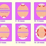 ¿En qué orden salen los dientes del bebé?